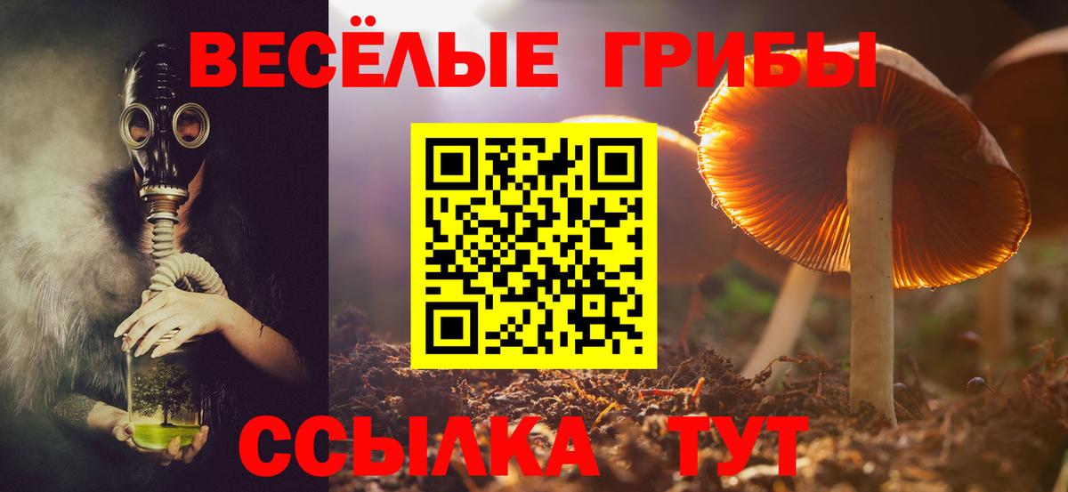Псилоцибиновые грибы мицелий  Вход с VPN  Майский  Псилоцибиновые грибы ЛСД 