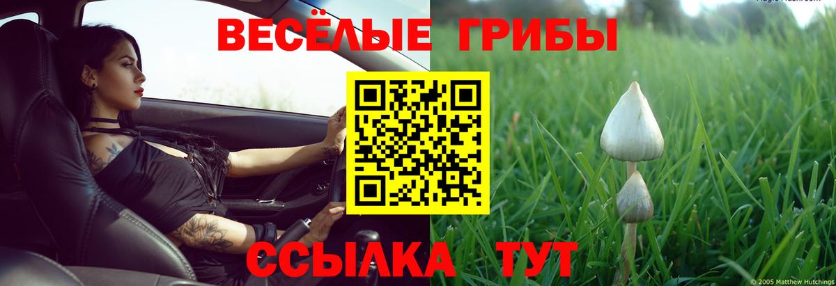 Галлюциногенные грибы ЛСД Майский